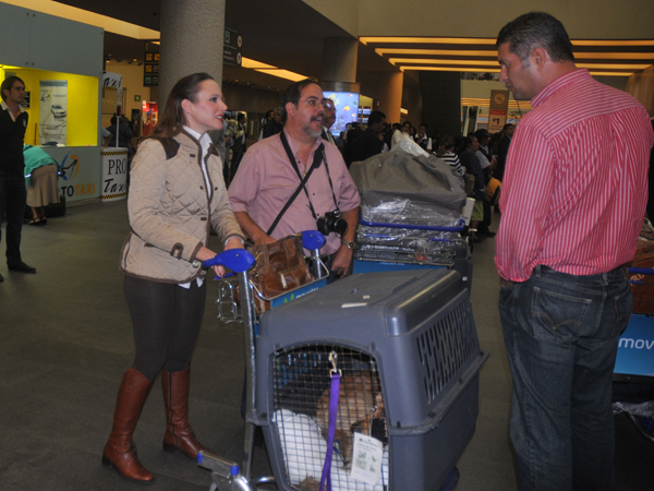 La mascota tambien viaj� a M�xico.