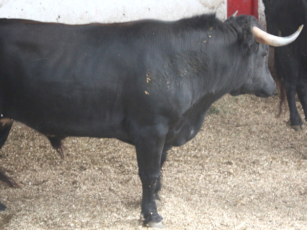 No. 161, de San Mart�n