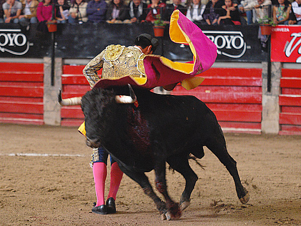 Quietud en la saltillera