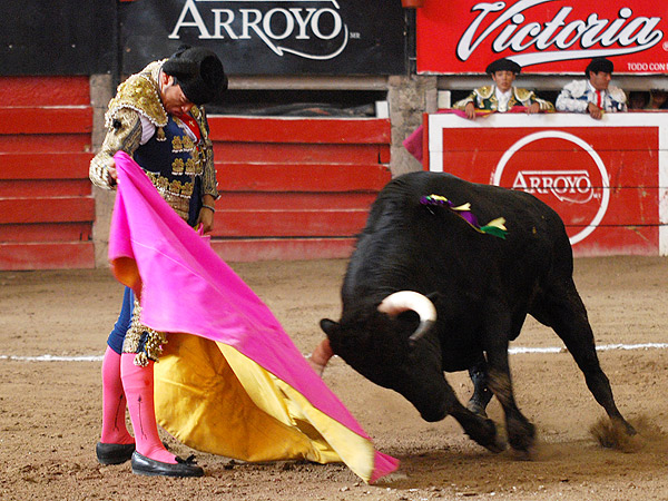 Bien tore� de capote Amador