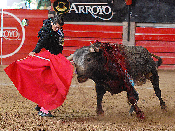 El novillo, violento y deslucido