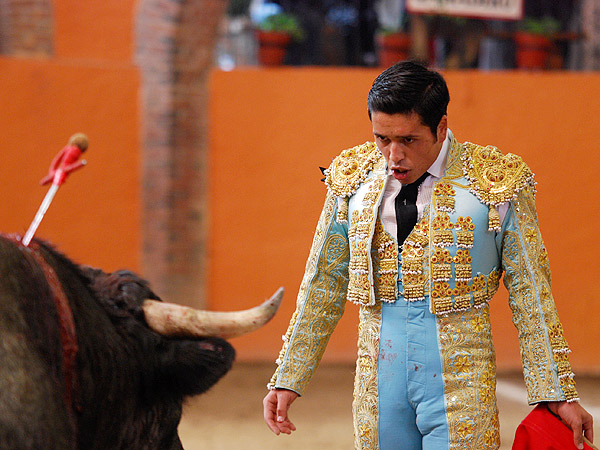 Se quit� de encima al pajarraco