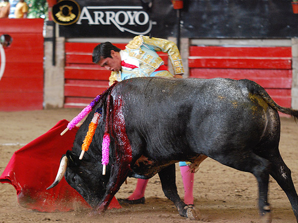 Fundidos toro y torero