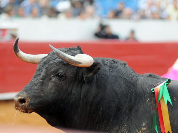 Serio y complicado encierro