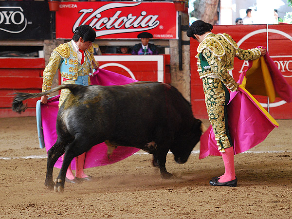 Al alim�n, Padilla y Verd�n