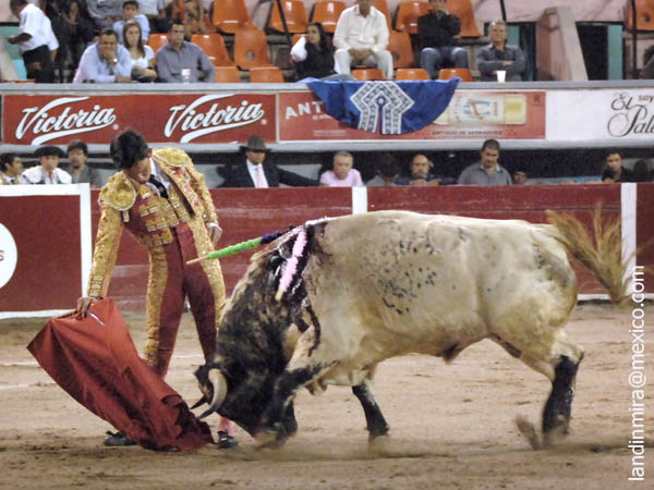 Reposo en los muletazos