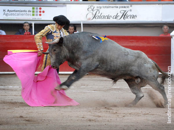 Joselito con el quinto