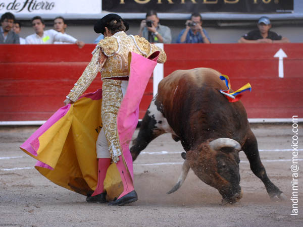 Llev�ndolo al caballo