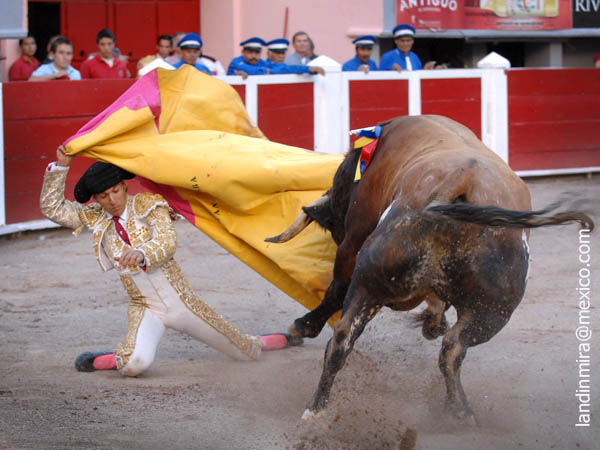 Larga de Fabi�n Barba