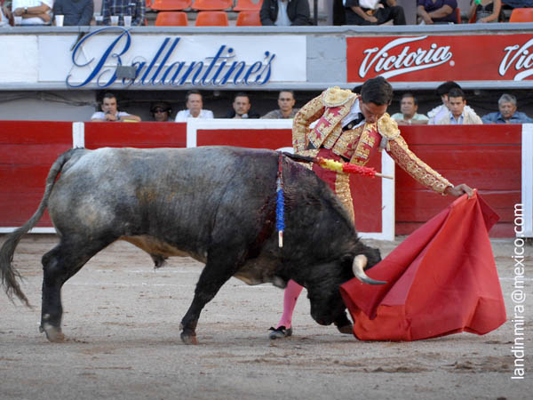 Naturales de terciopelo