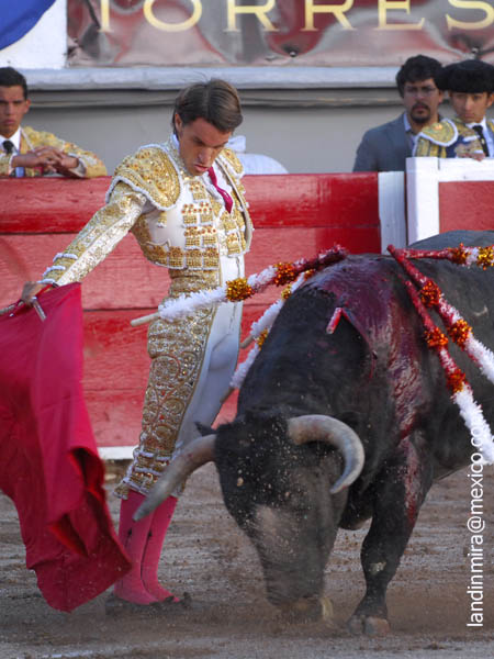 Tirando del ejemplar