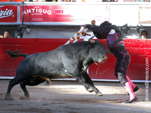 Le apunt� al abd�men