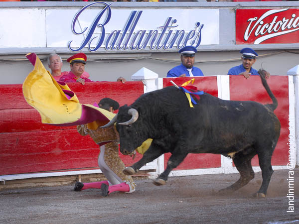 Fabi�n abre la corrida de Calaveras