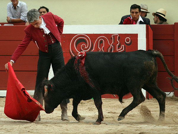 Llev�ndolo muy toreado