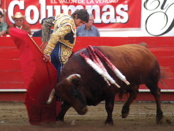 Embebido en los vuelos