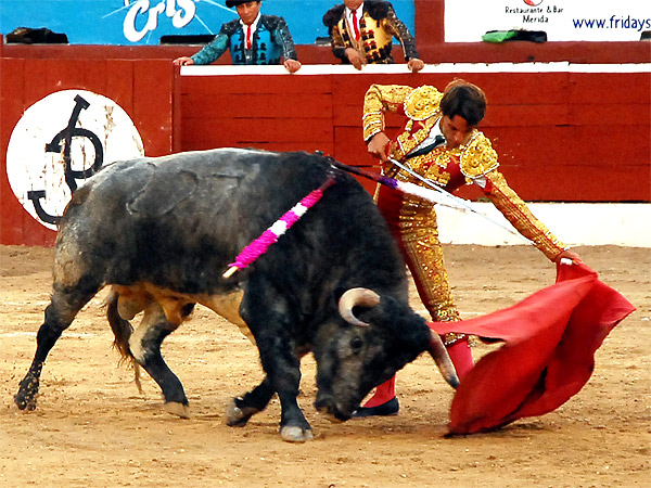 Estupendo al natural