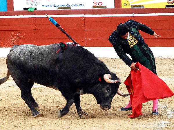Preparando el trincherazo