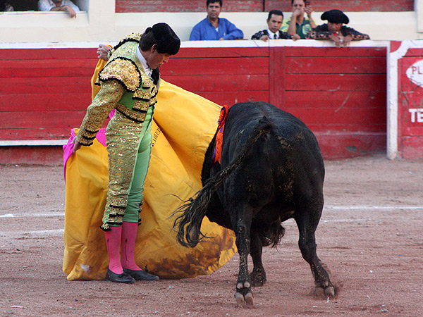 La gaonera de Barrera