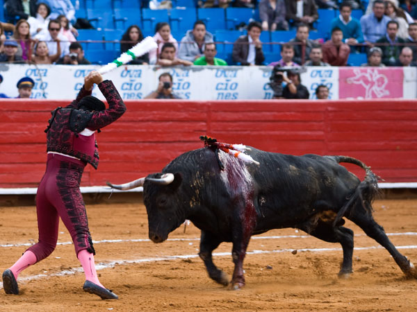 Expuso mucho en el par