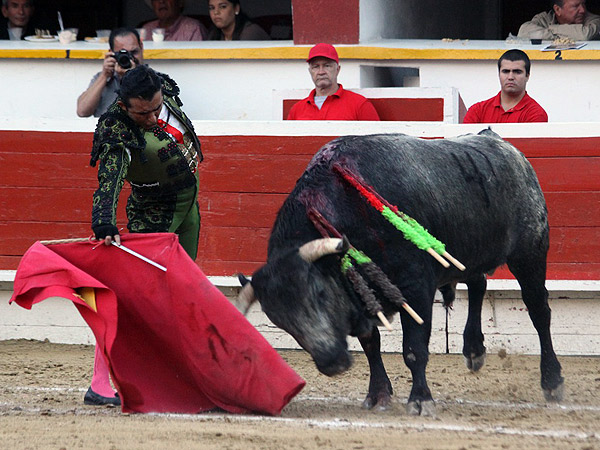 Llev�ndolo bien toreado