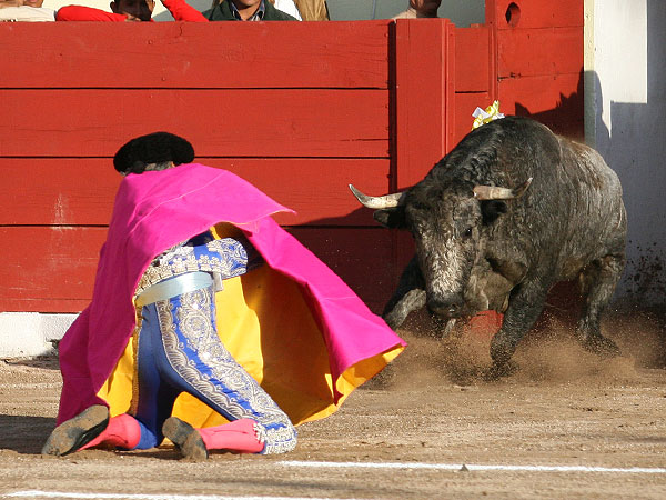 Sali� hecho un Le�n