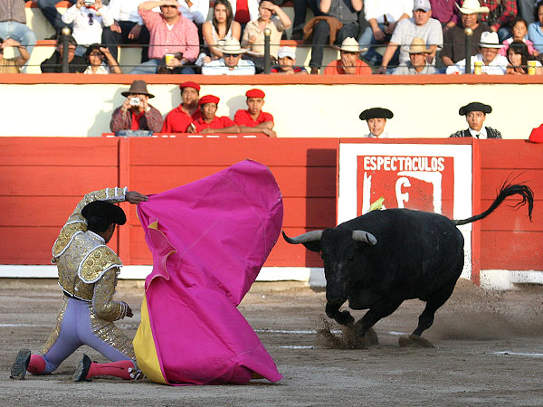 Ignacio Garibay entregado