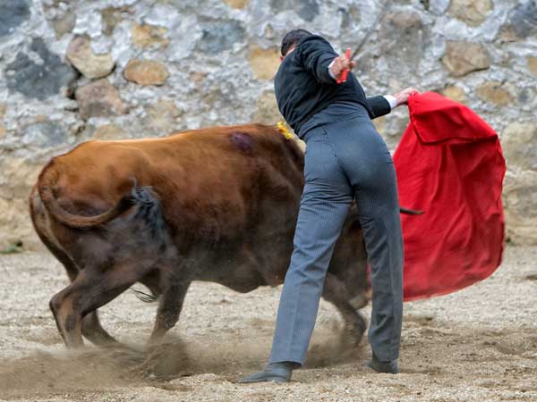 El sitio de Paco Dddoli