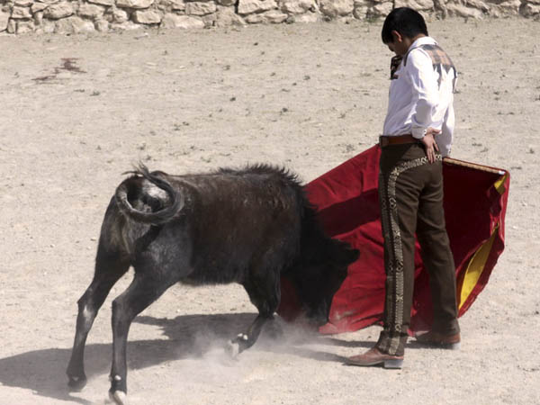 Mariano Sescosse por la diestra