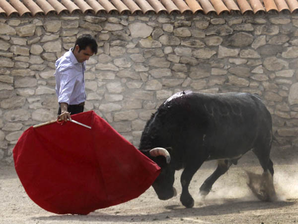 Tirando del ejemplar