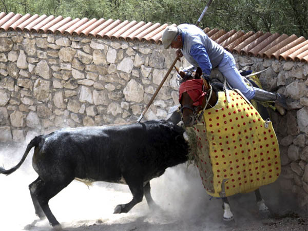 La vara de Nacho Mel�ndez