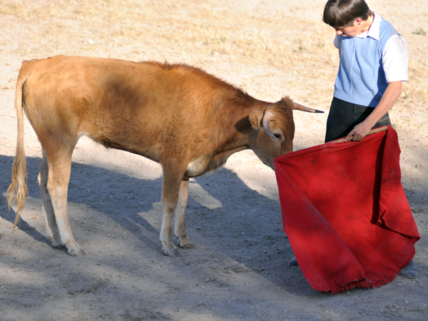 Encelando con los muslos