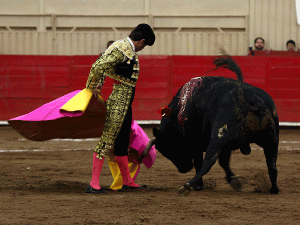 Remate de Capa de Mac�as