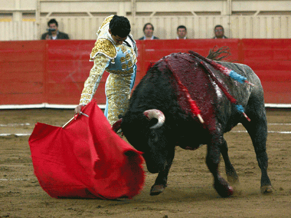 Garibay tambi�n sali� a hombros