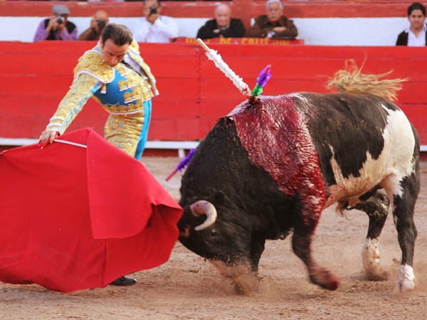 El lujo de ver a Ponce