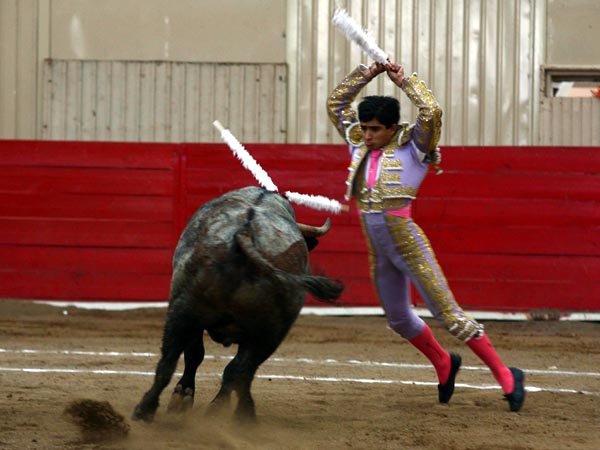 La suerte de banderillas