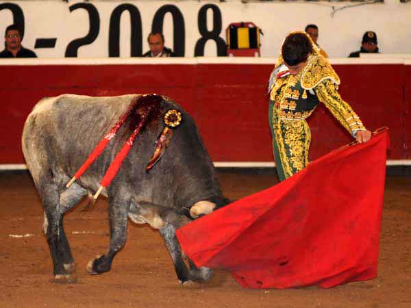 Buen natural de Lechuga