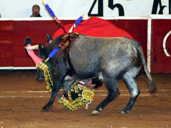 Voleterata sin graves consecuencias