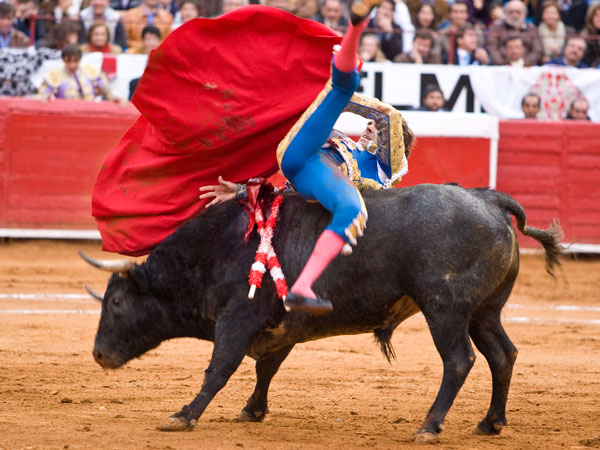 Se lo ech� a los lomos