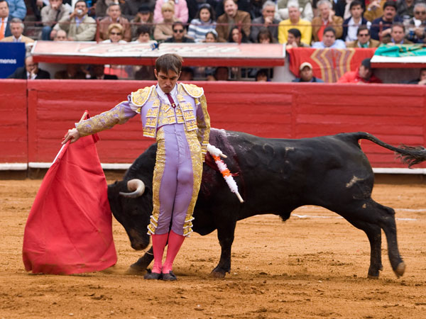 Aguantando la embestida