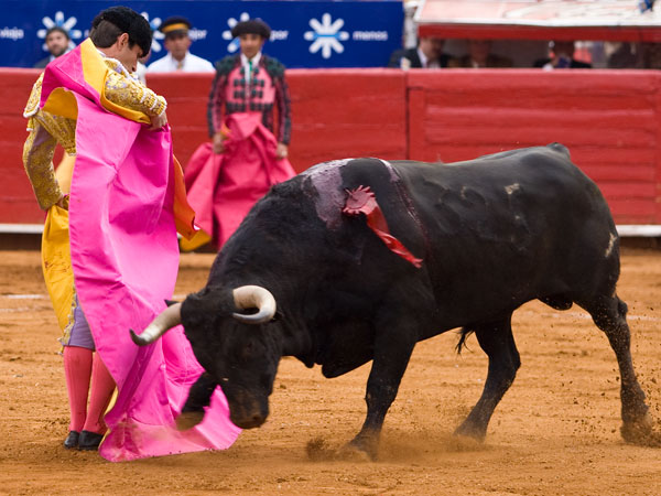 Chicuelina de manos altas