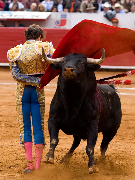 Cl�sica manoletina