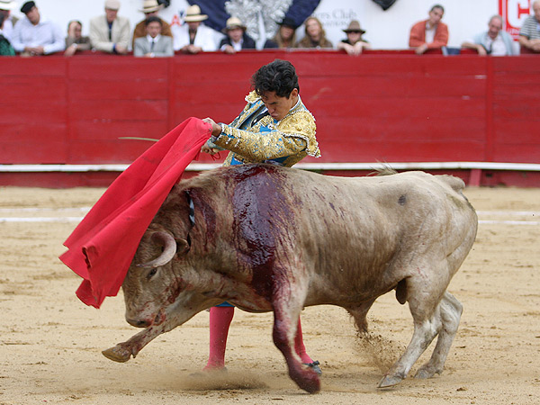 Barri�ndole los lomos