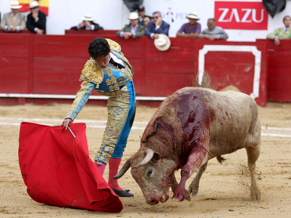 Acompa�ando la embestida