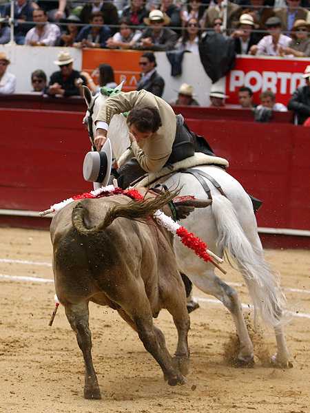 Encelando al novillo