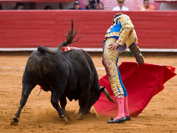 As� se cuadra una muleta