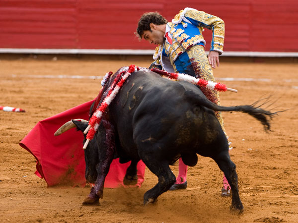 Sometiendo el arre�n