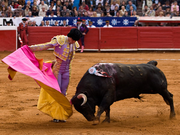 El quite de Mac�as al toro de Tom�s