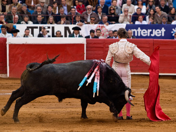 Un estoico p�ndulo