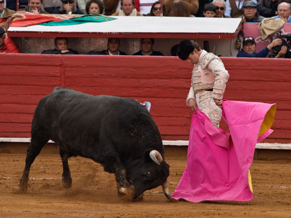 Suavidad en la media ver�nica