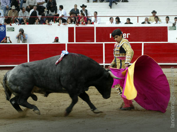 Emulando al Juli (A.L)